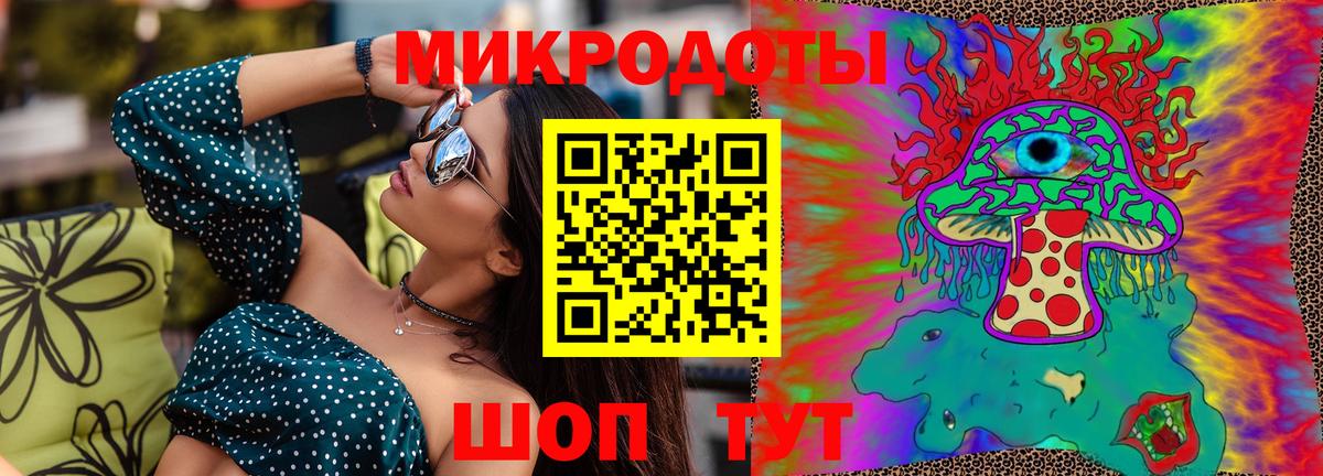 Псилоцибиновые грибы Cubensis Полысаево