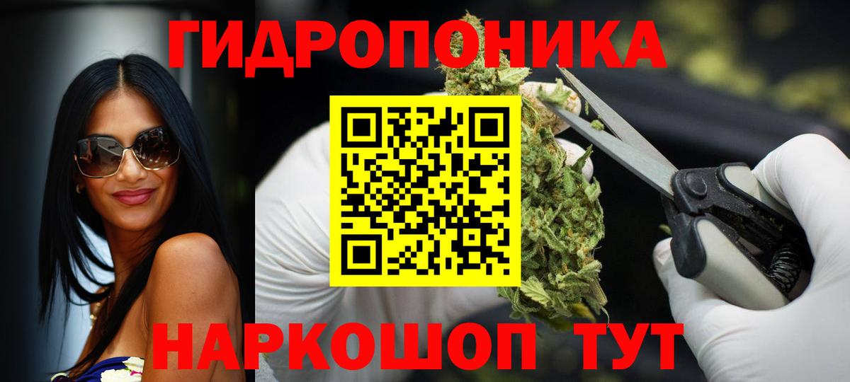 Конопля план Полысаево